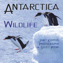 Antarctica: Wildlife