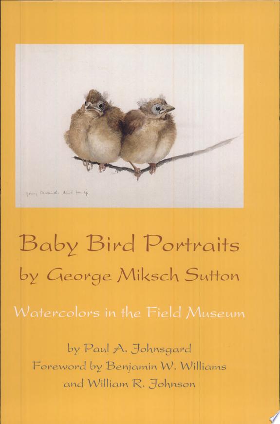 Baby Bird Portraits