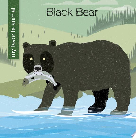 Black Bear