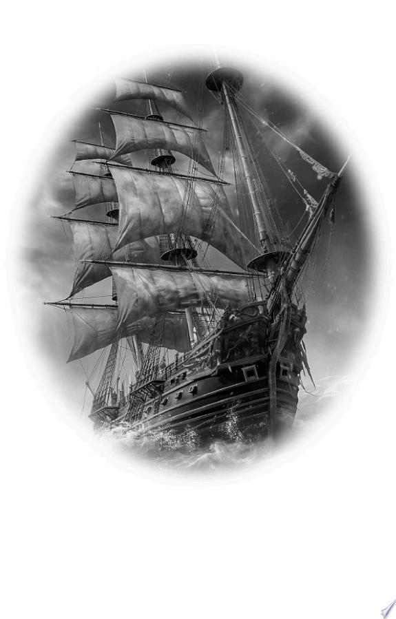 Der Sohn des Piratenkapitäns