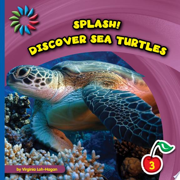 Discover Sea Turtles