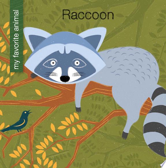 Raccoon