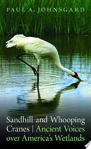 Sandhill and Whooping Cranes