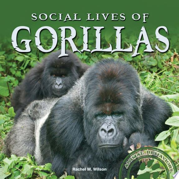 Social Lives of Gorillas