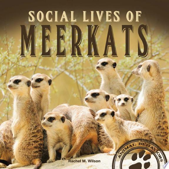 Social Lives of Meerkats