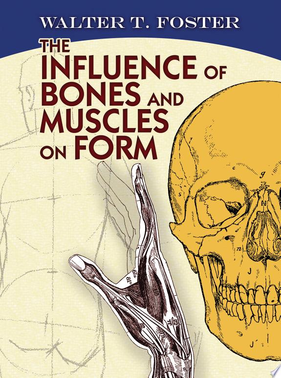 The Influence of Bones and Muscles on Form