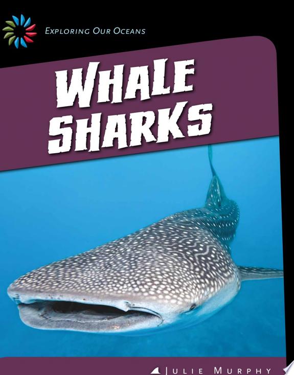 Whale Sharks